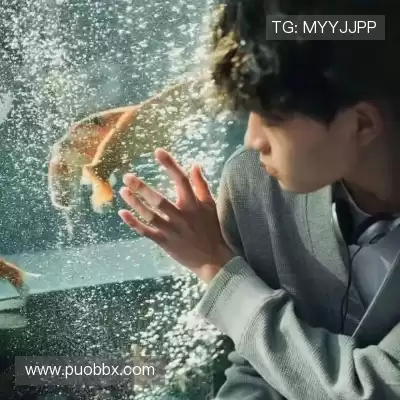 蔡蓬海
